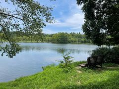 -上海共青森林公园