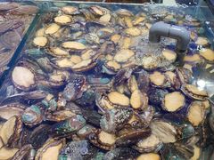 -海天盛宴潮汕蒸汽海鲜高端自助形象店