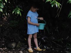 -桤木河湿地公园