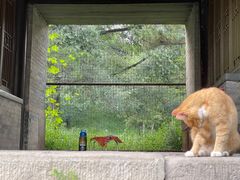 -承德避暑山庄景区