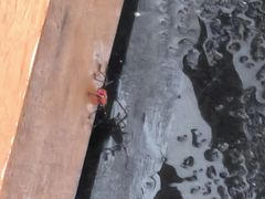 -三亚太阳湾柏悦酒店