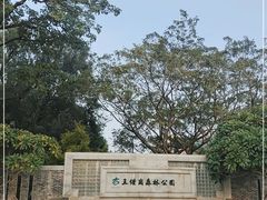 -王借岗森林公园