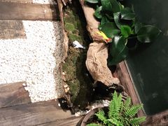 -德迹斋禅意文化茶馆·茶空间·商务洽谈•宴席(桃园店)
