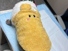 -半岛宠物医院24小时·内窥镜·牙科·碎石中心(府城大道店)