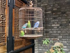 -鱼桥巷·美学川菜