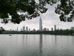 -紫峰大厦