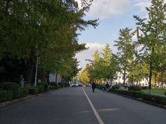 -四川大学(望江校区)