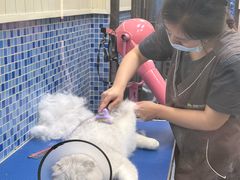 -瑞鹏宠物医院·宠保定点·心脏科·内科(御桥分院)