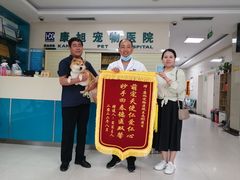 -康旭宠物医院(郑州总院)