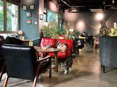 大堂-咖法森林·咖啡  酒吧(天河店)