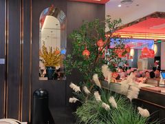 -八合里潮汕鲜牛肉火锅(福州万象城店)