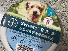 -美联众合动物医院·24h京西诊疗中心