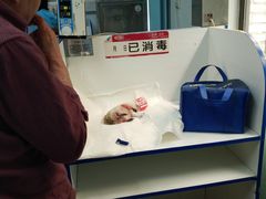-北京观赏动物医院·24小时大型综合·猫专科·异宠专科