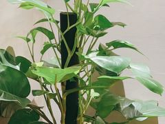 -四川饭店(长白店)