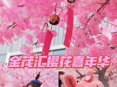 -金茂览秀城