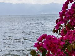 -大理洱海