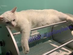 -雨林宠物医院 非犬猫异宠专科