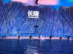 -珠海长隆海洋王国