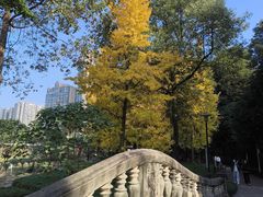 -温江公园