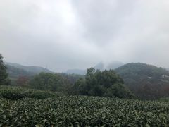 -西湖风景区十里琅珰-五云山