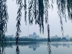 -莲花池公园