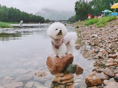 -兰河峪第117加油站