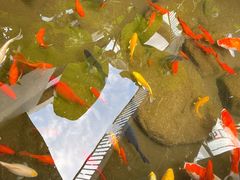 -泉乐坊步行街(烟酒特产平价超市店)