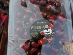 -PAGODA百果园(深圳天琴阁店)