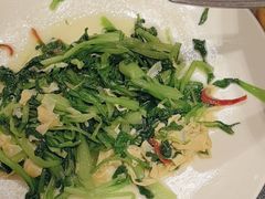 -新吉士·上海菜(浦东LCM置汇旭辉店)