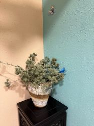 -香秀空间科技抗衰·美容中心