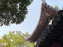 -秋霞圃