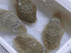-霞涌市场海鲜摆卖区
