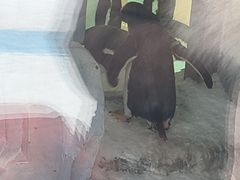 -哈尔滨极地公园