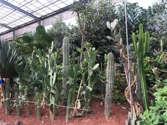 -呀路古热带植物园
