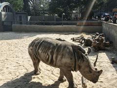 -昆明动物园