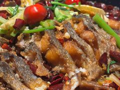 -老板恋上鱼(恒隆广场店)