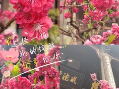 -成都市文殊院