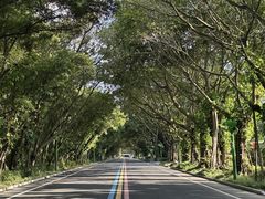 -东南花都花博园