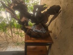 -新紫霞养生·影院足道·SPA(金山区店)