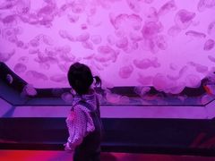 -沈阳海洋探索中心