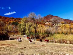 -塞罕坝国家级自然保护区