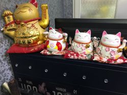 前台-INSI Hair Salon