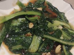-尚一汤 广东炖汤(金桥国际店)