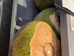 -椰小鸡·琼州糟粕醋·火锅(美兰缤纷城店)