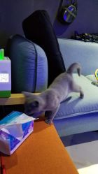 -BBVR团建聚会体验馆·亲子DIY手工