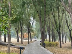 -东郊湿地公园