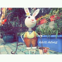 -Hair house发舍