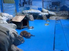 -顺德南宏海立方海洋公园