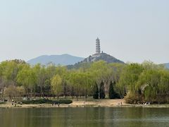 -北坞公园