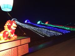 -金卉庄园